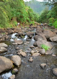 hanakapaiai valley hiking kauai